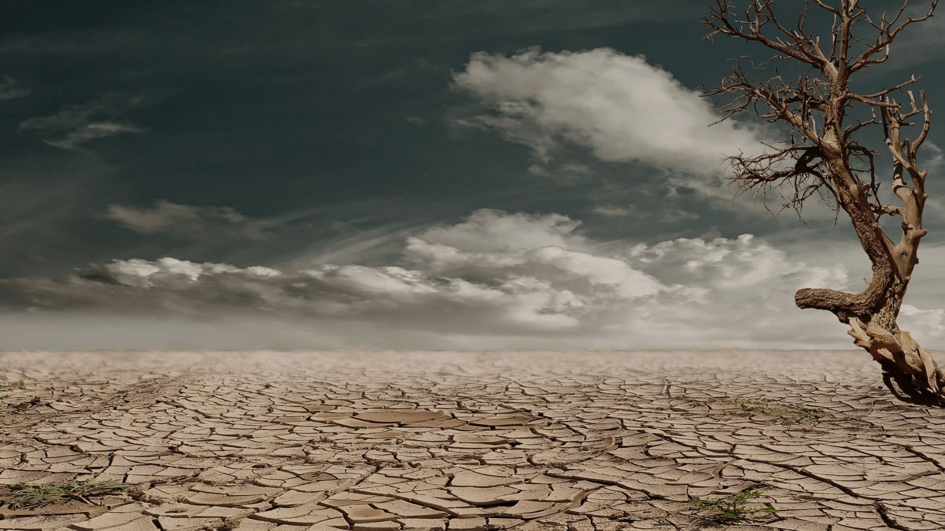 ¿Se aproxima un calor extremo a México? El Niño se podría intensificar